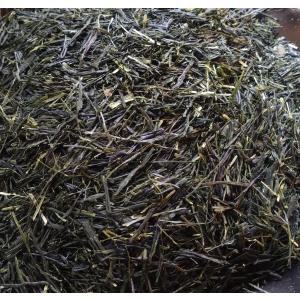 玉露（2024）さみどり 緑茶　加茂自然農園のお茶　茶葉　農薬・肥料不使用