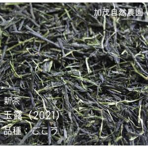 玉露（2021）ごこう　緑茶　加茂自然農園のお茶　茶葉　農薬・肥料不使用　