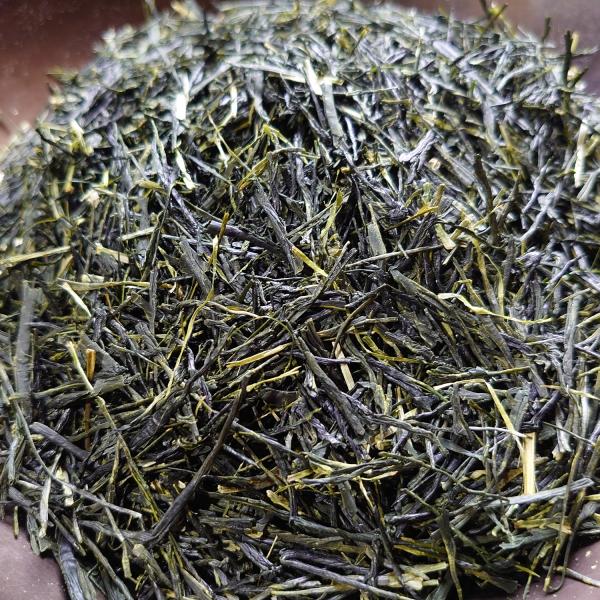 かぶせ茶（2023）ごこう 新茶 緑茶　加茂自然農園のお茶　茶葉　農薬・肥料不使用　