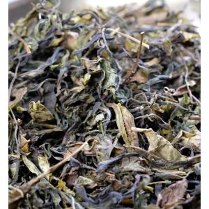 和プーアル茶 釜炒日干茶　(2026) やぶきた 農薬・肥料不使用 加茂自然農園のお茶