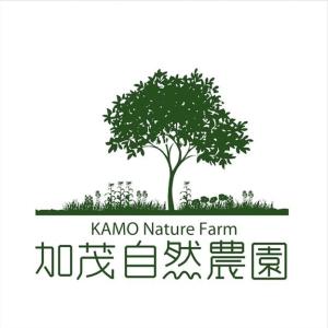 和プーアル茶 釜炒日干茶 (2026) やぶき...の詳細画像4