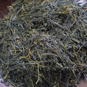 煎茶（2026）やぶきた 緑茶　加茂自然農園のお茶　茶葉　農薬・肥料不使用
