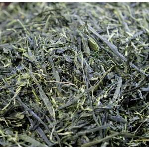 玉露（2026）在来種 緑茶　加茂自然農園のお茶　茶葉　農薬・肥料不使用