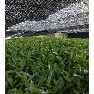 玉露(2026)在来種 緑茶 加茂自然農園のお...の詳細画像1