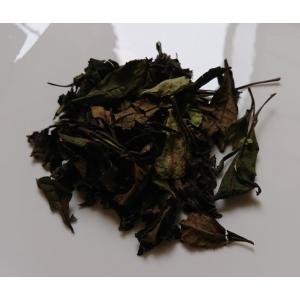白茶（2020年）在来種 農薬・肥料不使用 加茂自然農園のお茶｜kamonaturefarm