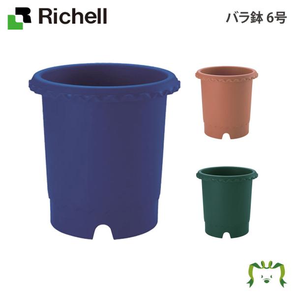 リッチェル Richell バラ鉢 6号 ガーデニング 観葉植物 球根 苗 苗木 植木 水生植物 花...