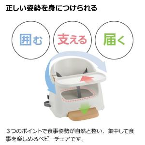 配送区分K1 ベビーチェア フィージーR お食...の詳細画像4