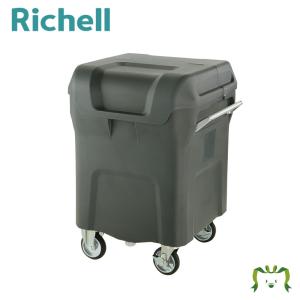 リッチェル Richell キャリングカートN 320 介護用品 収納 インテリア 家具 介護用椅子 健康 矯正用品 衛生日用品 入浴用品｜kamoshikanet