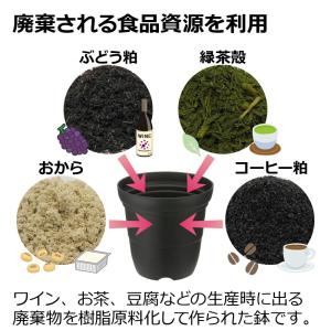 在庫限り シャンファー プレート 4号 園芸 ...の詳細画像3