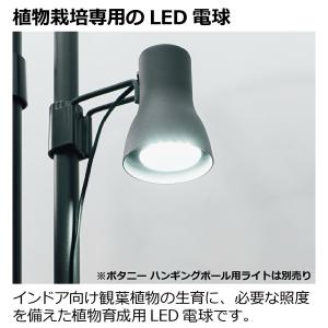 配送区分K1 植物育成用LED電球(E26) ...の詳細画像5