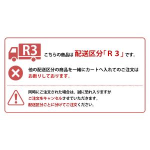 配送区分R3 名入れ 新発売 トライ のみやす...の詳細画像2