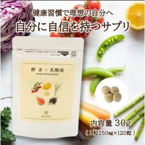 2個セット 酵素 × 乳酸菌 2ヶ月分 /120粒×2個 サプリ 腸活 美容 ダイエット 発酵食品 植物発酵エキス 酵母 難消化性デキストリン 穀物麹 麹 有機アロエ配合