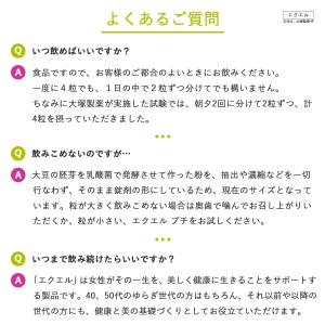 エクオール エクエル 大塚製薬 パウチ 120...の詳細画像3