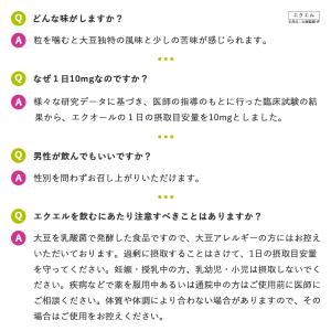 エクオール エクエル 大塚製薬 パウチ 120...の詳細画像4
