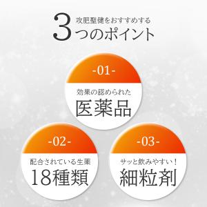 攻肥聖健 防風通聖散料 ダイエット 漢方 漢方...の詳細画像4