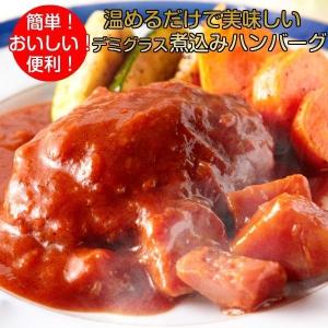 煮込みハンバーグ レトルト食品 野菜入りデミグラスソース 3人前(200g×3) 惣菜 おかず｜kanaemina-gourmet