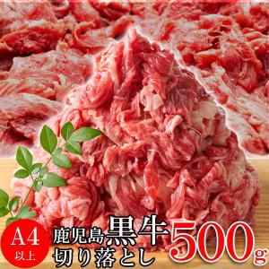 牛肉 切り落とし 500g（250g×2パック）国産 鹿児島黒牛 A4ランク以上 冷凍便｜kanaemina-gourmet