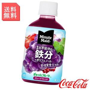 ミニッツメイド ぎゅっ!と フルーツ グレープブレンド 鉄分 280ml ペットボトル 1ケース 24本入