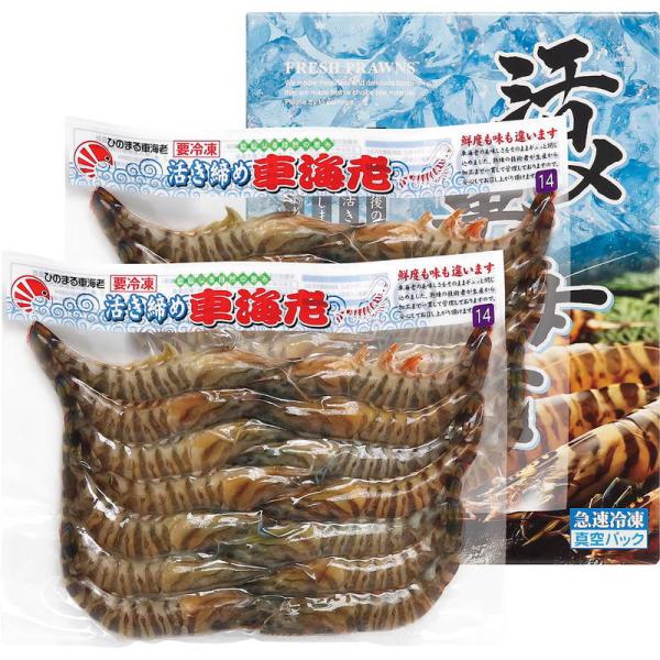 活〆冷凍 車海老 300g