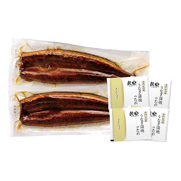 九州産 うなぎの蒲焼 詰め合わせ ギフト プレゼント お中元 お歳暮 内祝い
