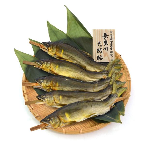 世界農業遺産認定 清流長良川天然鮎 塩焼き 結の舟 詰め合わせ ギフト プレゼント お中元 お歳暮 ...