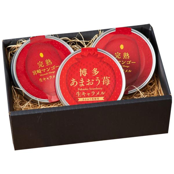 あまおう苺&amp;宮崎完熟マンゴー 生キャラメル詰合せ 詰め合わせ ギフト プレゼント お中元 お歳暮 内...