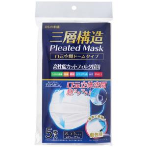マスク 不織布 三層構造 口元空間ドーム型マスク 個包装 ふつうサイズ 5枚入｜kanaemina