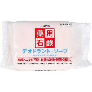 固形石鹸 全身用 薬用石鹸 デオドラントソープ 90g 体臭 ニキビ予防 殺菌 消毒 微香性｜kanaemina