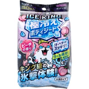 冷感ボディタオル 使い捨て アイスノン ICE ...の商品画像