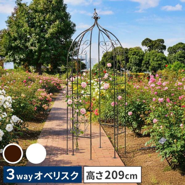 アイアンハーフアーチ ガーデンアーチ オベリスクキット 薔薇 誘引 ローズアーチ アイアン製 ガーデ...