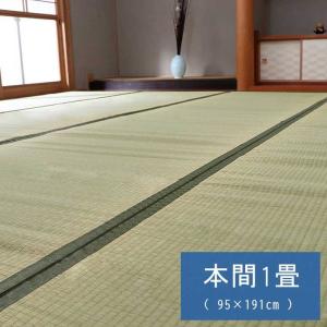 い草の上敷き 畳の上敷き カーペット 草津 本間 1畳 95×191cm 純国産 い草 双目織 抗菌ヒバ加工
