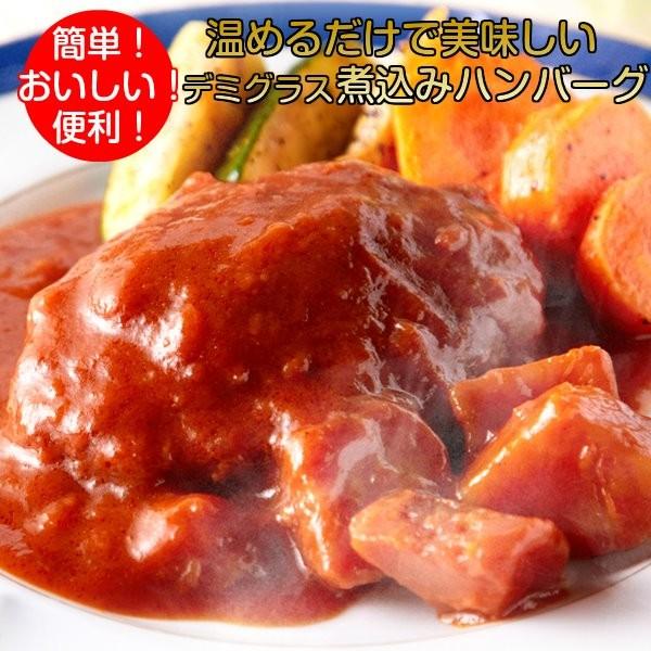 煮込みハンバーグ レトルト食品 野菜入りデミグラスソース 3人前(200g×3) 惣菜 おかず