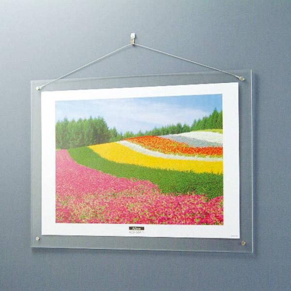 ナカバヤシ アクリル製ピクチャーフレーム 壁掛けタイプ