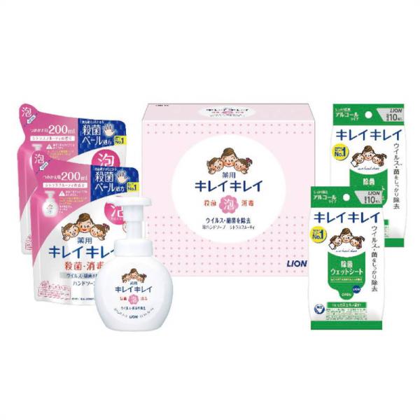ライオン キレイキレイ薬用泡ハンドソープセット LBB-D