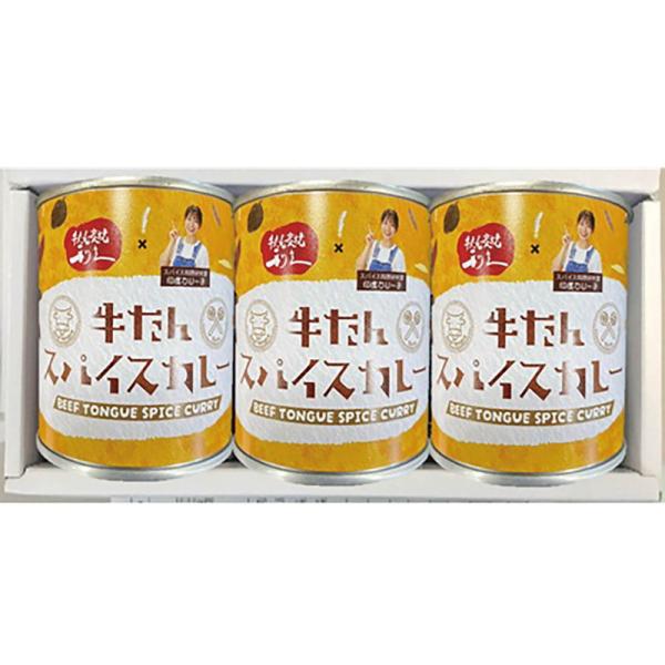 利久 牛たんスパイスカレーセット ギフト