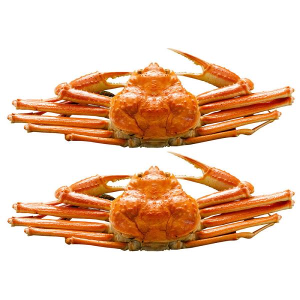 ボイルずわいがに姿 詰め合わせ ギフト プレゼント お中元 お歳暮 内祝い