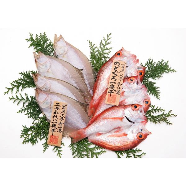 島根 岡富商店 「一日漁」 のどぐろ・かれい一夜干 詰め合わせ ギフト プレゼント お中元 お歳暮 ...