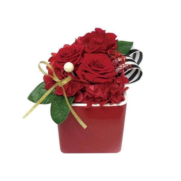 母の日 ギフト 花 ギフトアレンジメント エクラン レッド