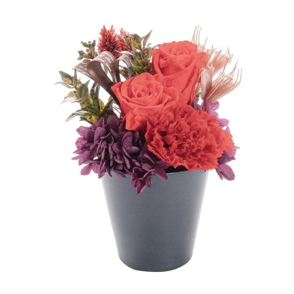 母の日 ギフト 花 プリザーブドフラワー フルールスーリル レッド