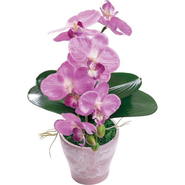 母の日 ギフト 花 アーティフィシャルフラワー胡蝶蘭カラーズ フレッシュピンク