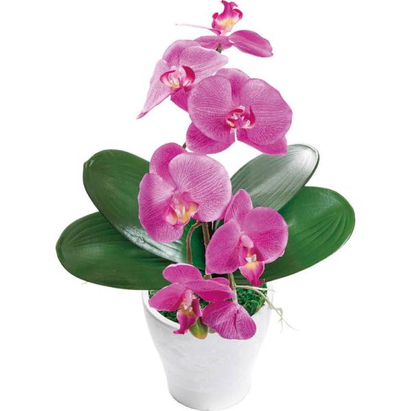 母の日 ギフト 花 アーティフィシャルフラワー胡蝶蘭カラーズ ダークラベンダー