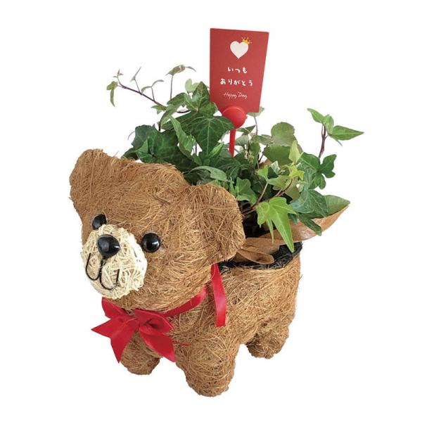 母の日 ギフト 花 おさんぽクマさん3号