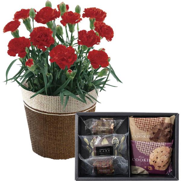 母の日 ギフト 花 スイーツ カーネーションレッド4号&amp;ホテルオークラ ケーキ＆ブラウニー＆クッキー...