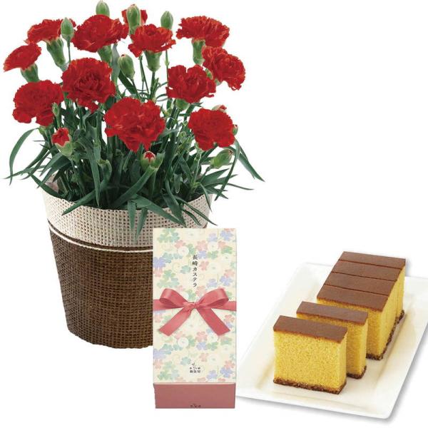 母の日 ギフト 花 スイーツ カーネーションレッド4号&amp;長崎かすてらセット