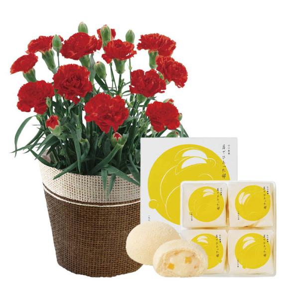 母の日 ギフト 花 スイーツ ミニカーネーションレッド4号&amp;月でひろった卵セット
