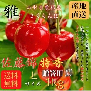 さくらんぼ 佐藤錦 山形県 東根産 1kg 秀品 Lサイズ 贈答用 並び詰め
