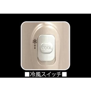 カールドライヤー くるくるドライヤー 海外対応...の詳細画像2