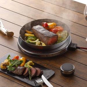 新品・2022年製造】 アムウェイ インダクションレンジ クィーン 電磁