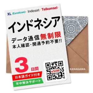 【インドネシア・バリ島 eSIM】3日間(72時間) データ通信無制限 メールにて即日送信 有効期限 / ご購入日より90日以内 インドネシアSIM
