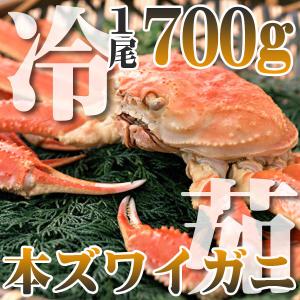 カニ かに ズワイ 700g 極上 超特大 本ズワイガニ 北...